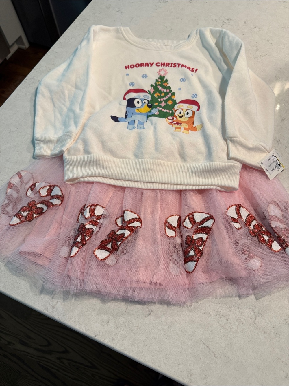 Bluey Christmas two piece Christmas outfit NWT Size 5T